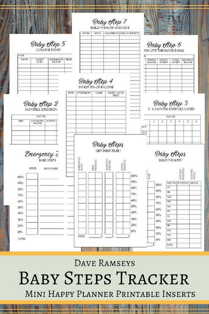 Baby Steps Tracker Printable Planner Pages For The Mini