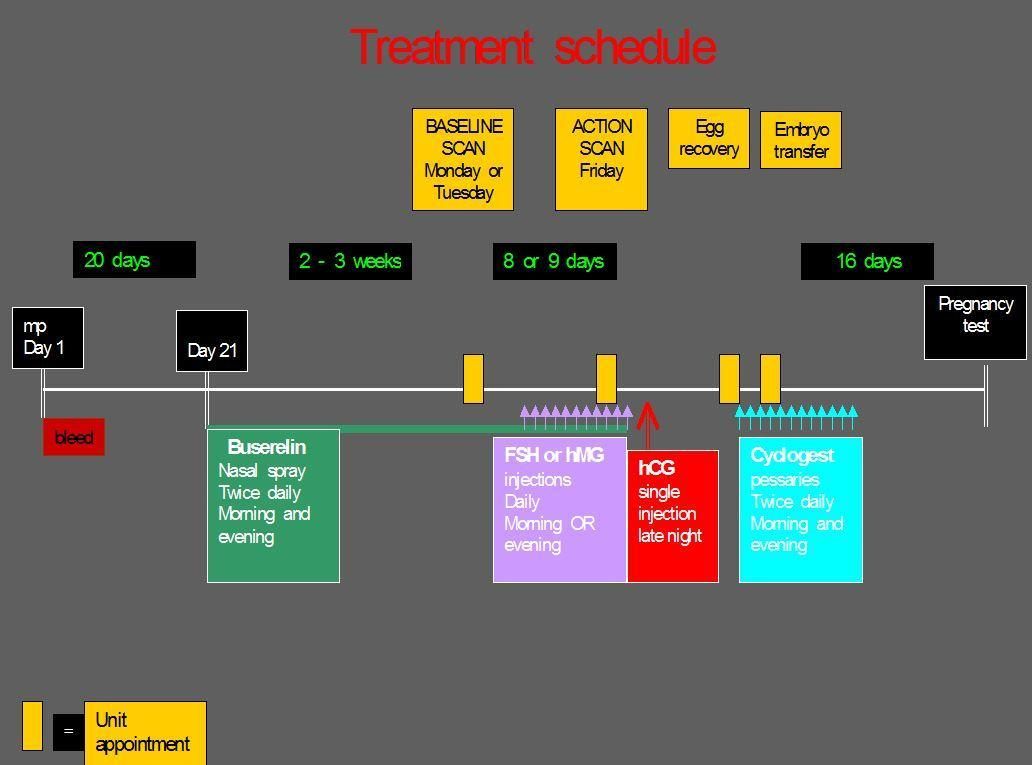Calendar Ivf Schedule | Free Calendar Editable 2016