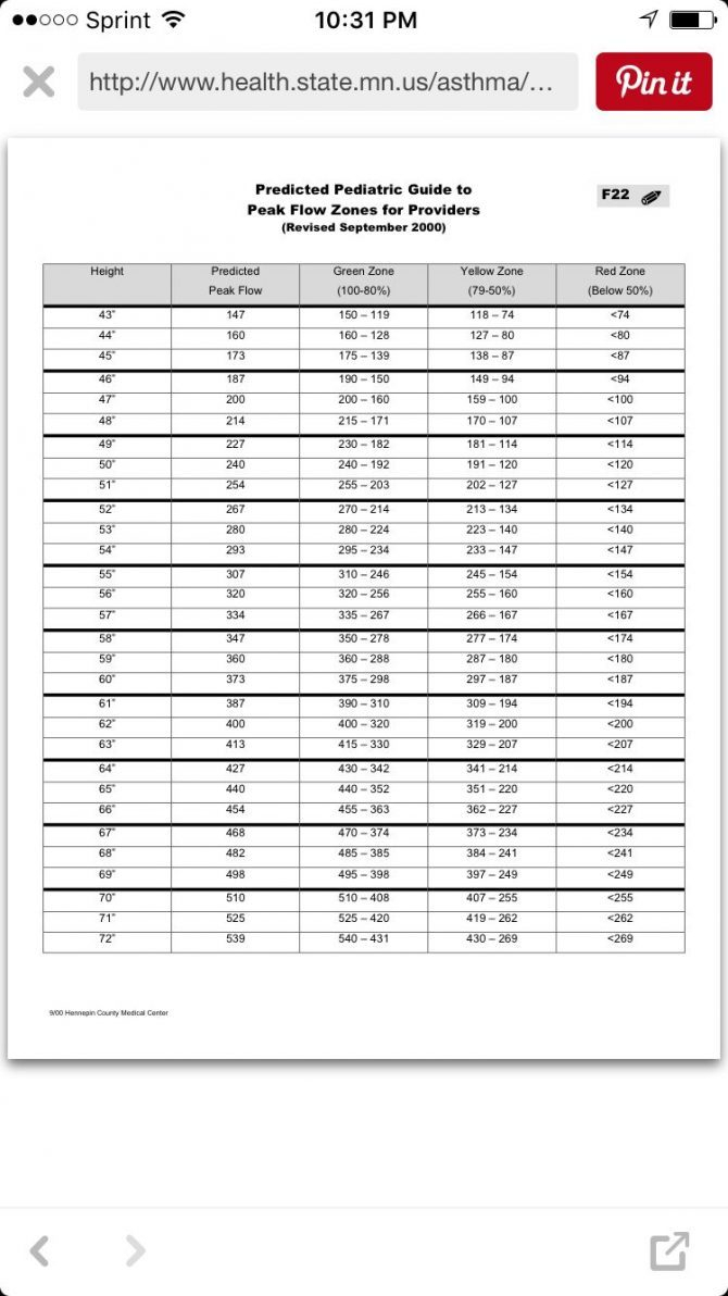 Peak Flow Meter Chart Printable - Www.bedowntowndaytona