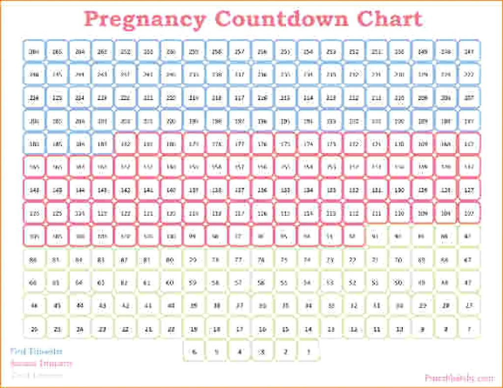 Pregnancy Calendar Printable