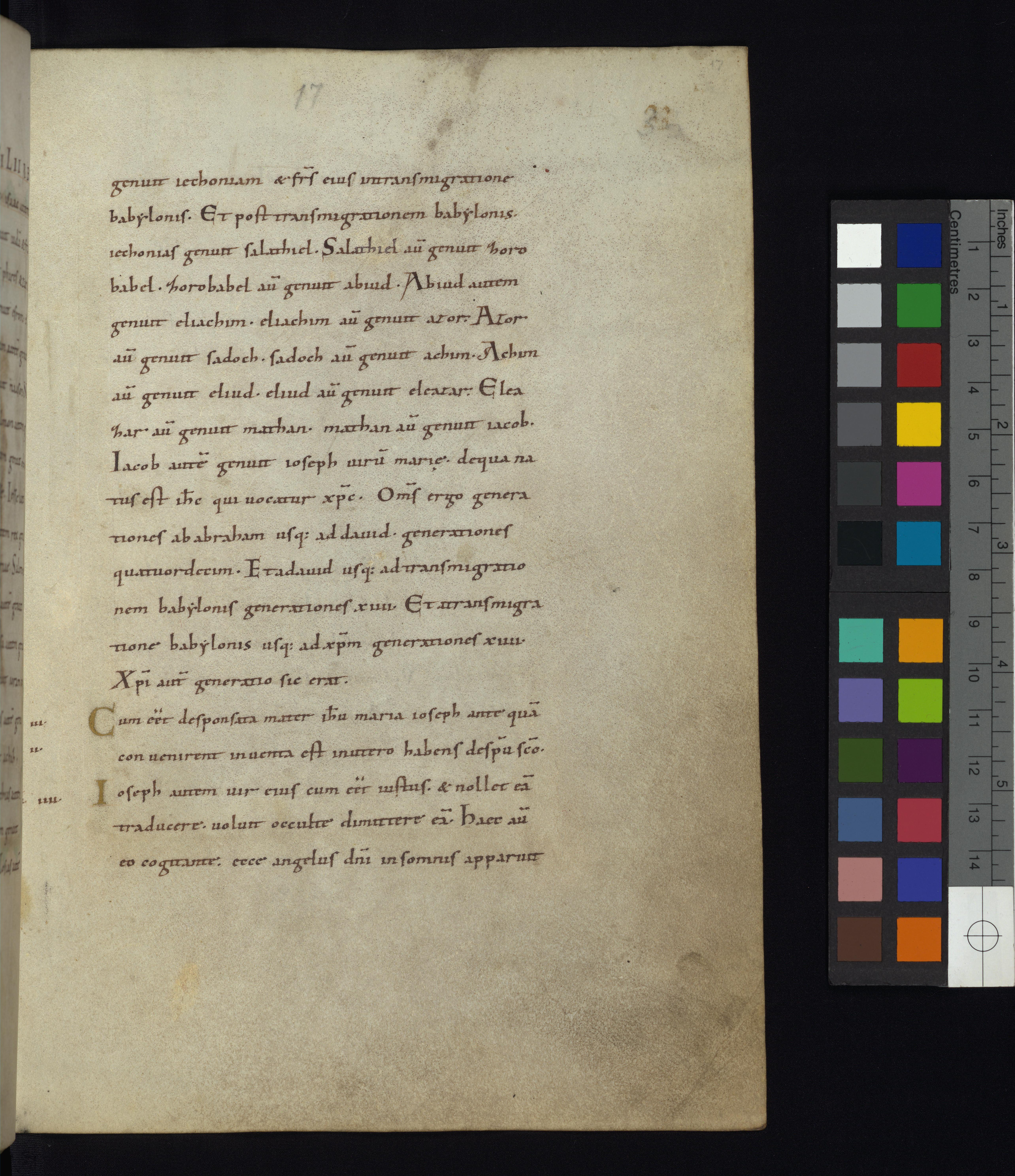 Among Digitized Manuscripts