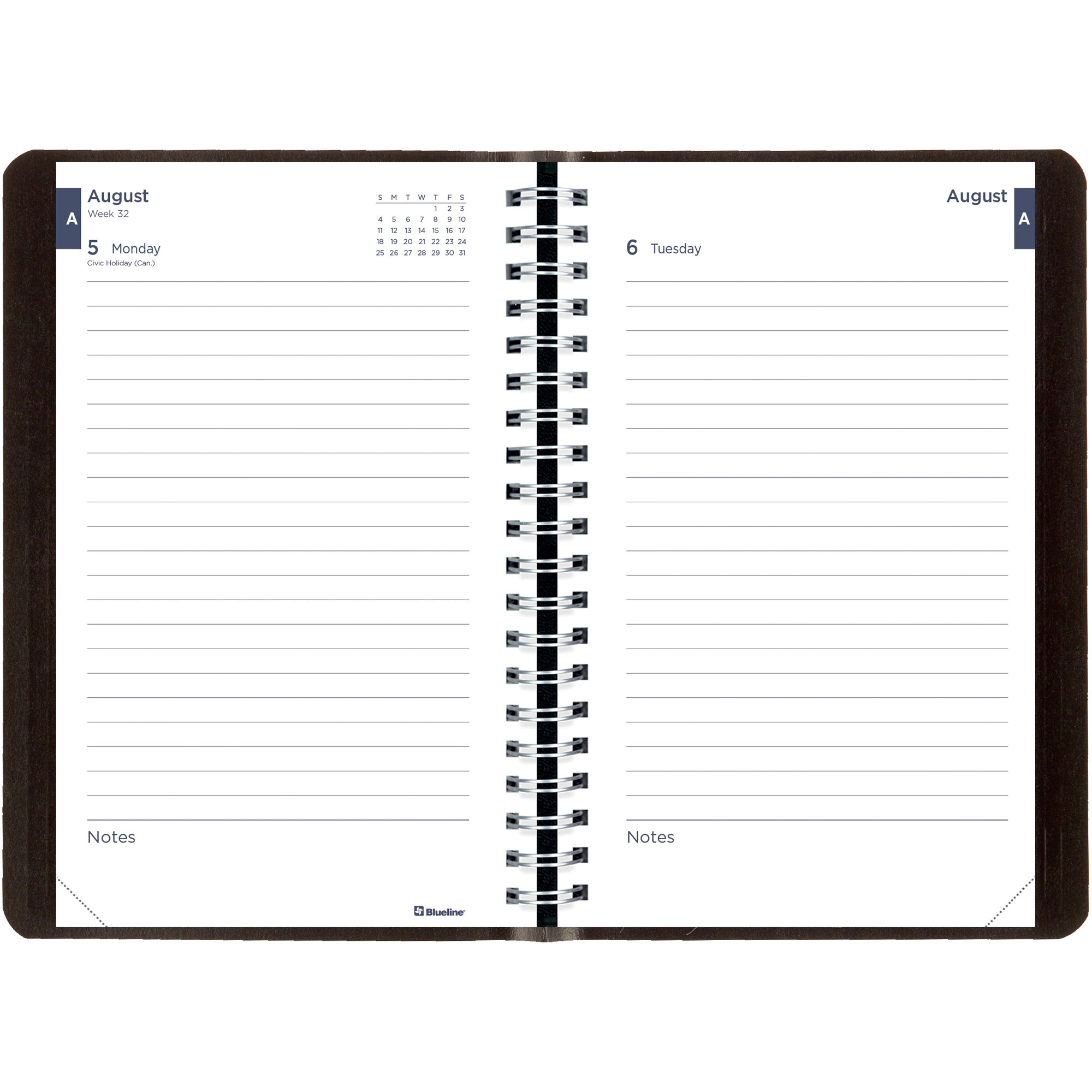 Brownline Academic Daily Appointment Book / Monthly Planner