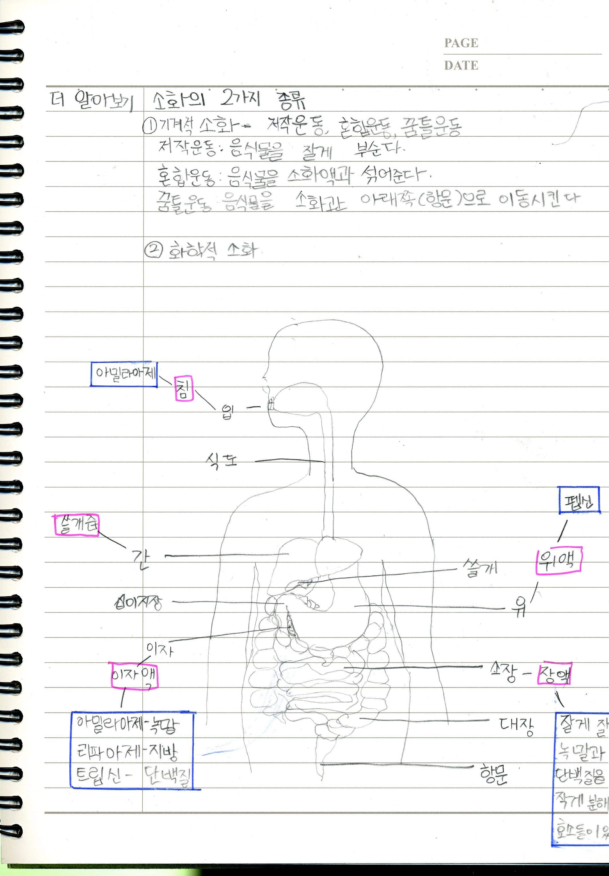 경원대 영재연구소 :::