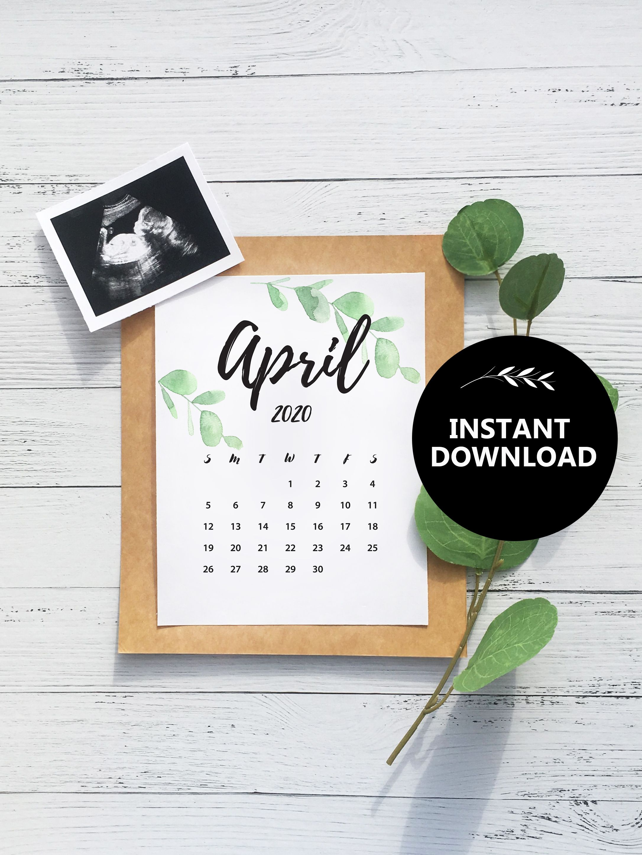 Download Bady Due Date Calendar August 2020 Template | Example Calendar Printable