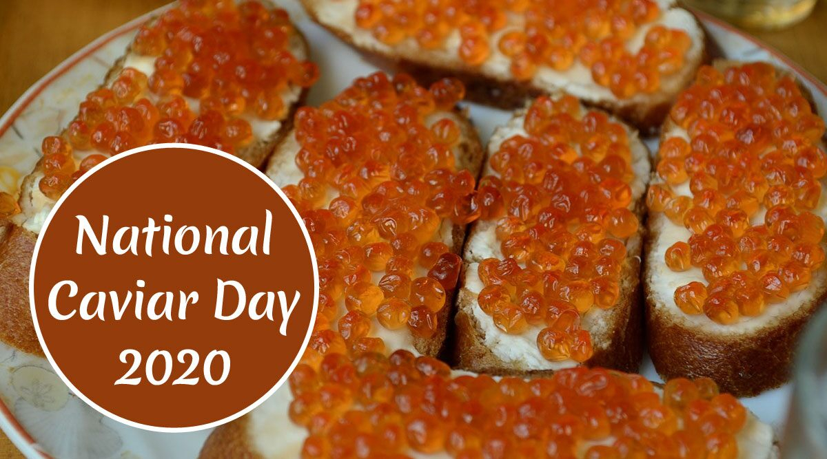 National Caviar Day 2021: Why Is Sturgeon Fish Egg Expensive