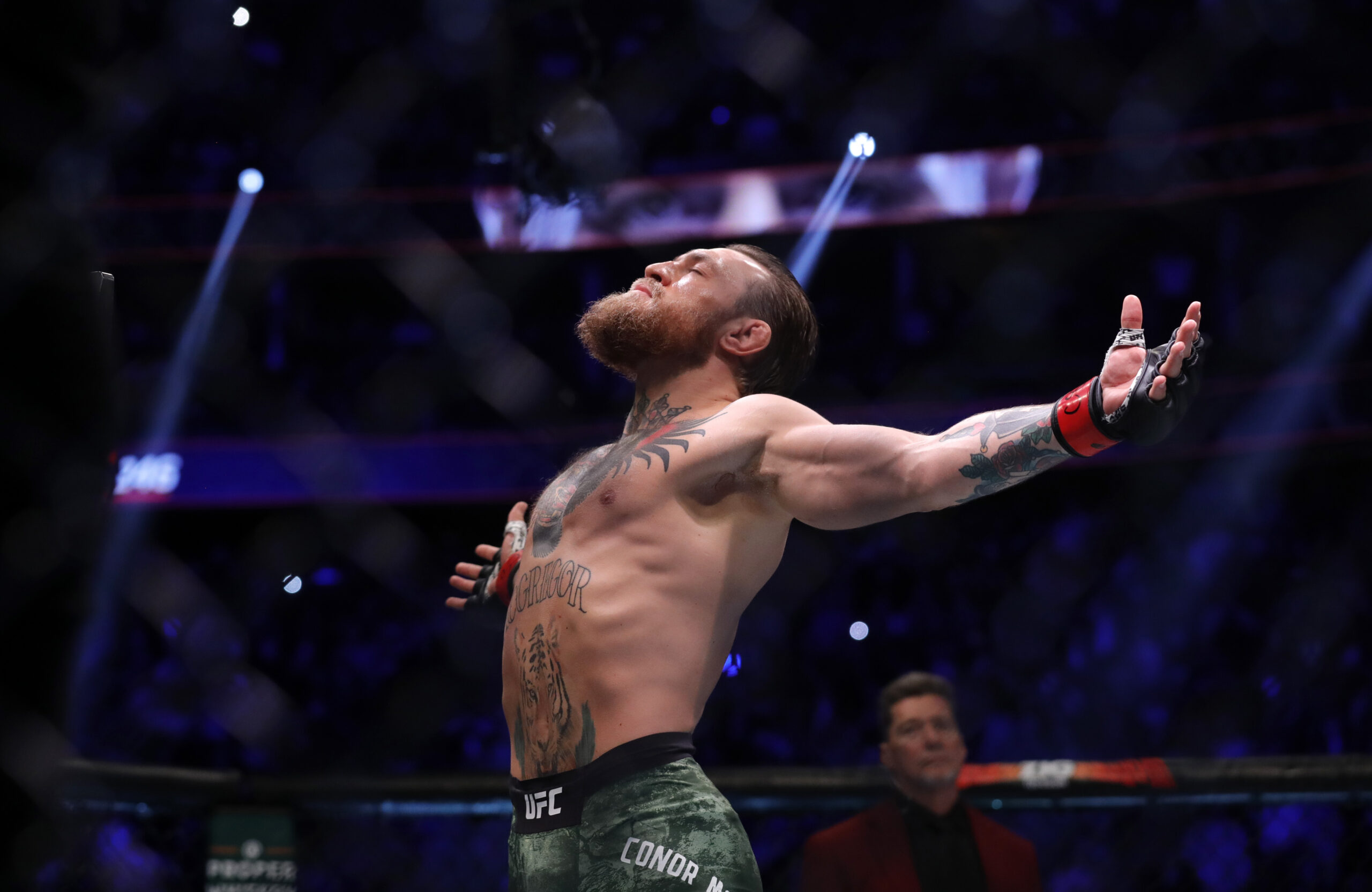 Ufc: Is Conor Mcgregor A Hall Of Famer Or Just A Good Fighter?