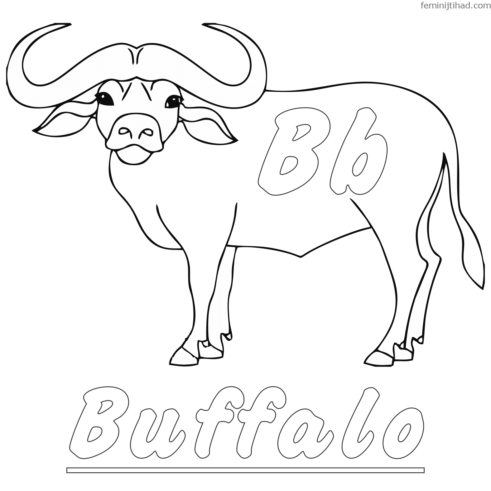 Buffalo Coloring Pages For Kids At Getcolorings | Free