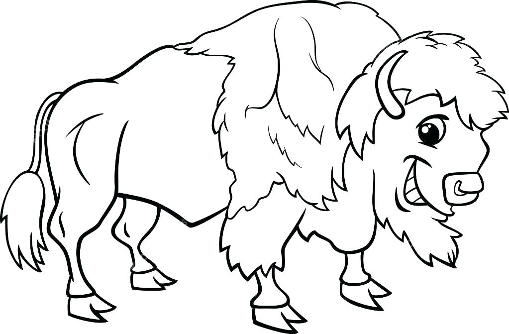 Cape Buffalo Coloring Pages At Getdrawings | Free Download