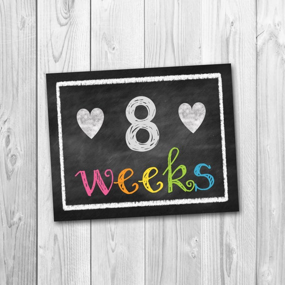 Pregnancy Calendar Countdown Chalkboard Printable Pregnancy