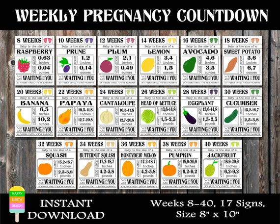 Printable Pregnancy Countdown Signs-Weekly